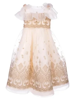 Embroidered Organza Gown