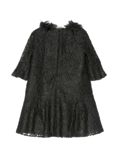 Volant-Embroidered Lace Dress